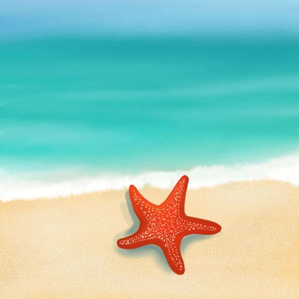 Little Starfish Carlos