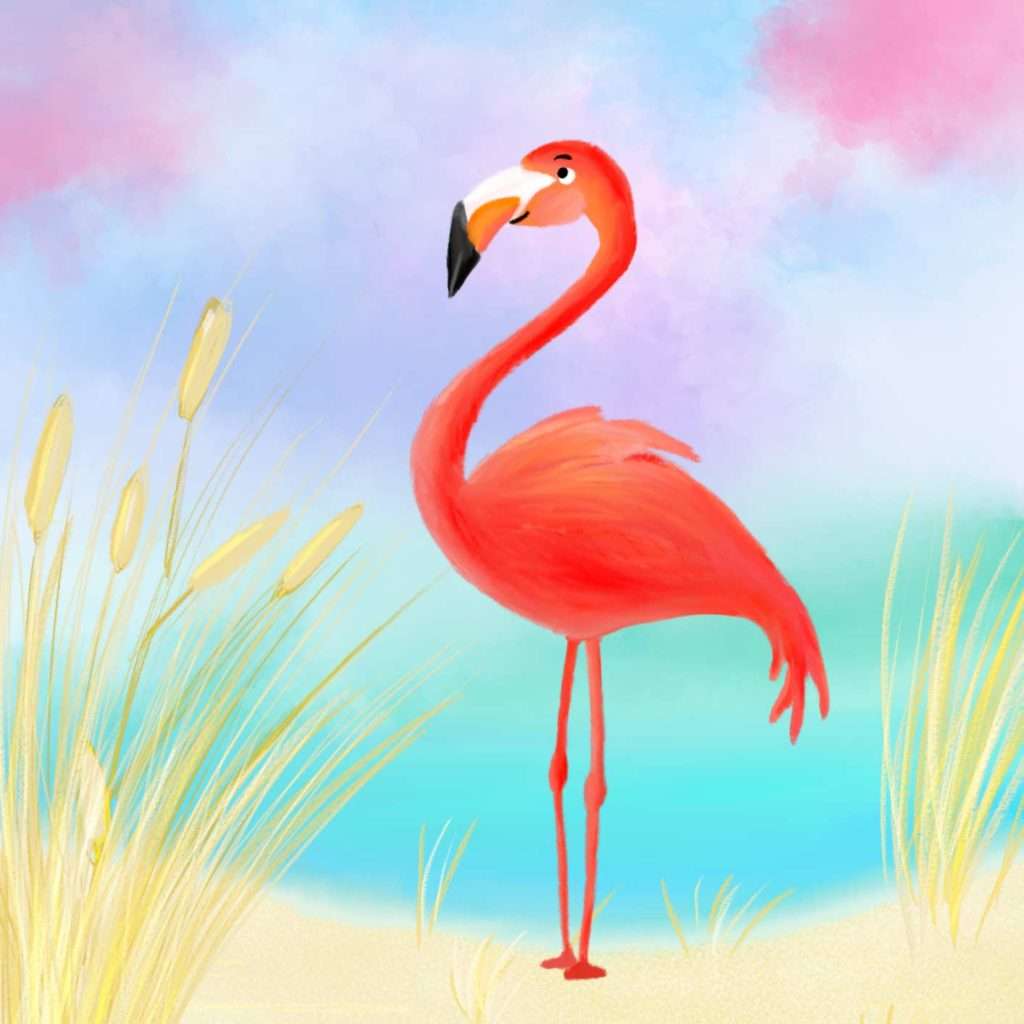 Ringo the Flamingo